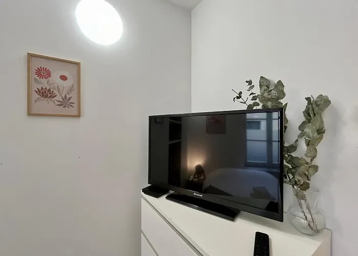 Le Ste Anne Plein Centre Avec Lave Linge Nancy